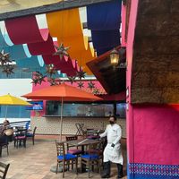 Courtyard within the airport  at MEX - Cucara Macara in Mexico City