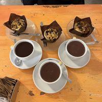   at Ginger in Trieste