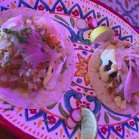 spicy, small tacos at Chiwawa Cantina in Gran Canaria