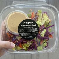   at Crop Juice in Sarasota