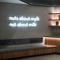 interior - seating area at NUTTEA - La Trobe St in Melbourne