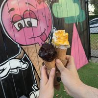 Dark chocolate and the mango and coconut  at Augustus Gelatery in Sandringham