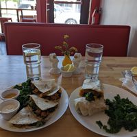  at Spacecat V-stro in Ferndale