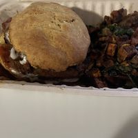   at Spacecat V-stro in Ferndale