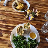   at Spacecat V-stro in Ferndale