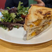 Cheddar shredder (special) at Spacecat V-stro in Ferndale