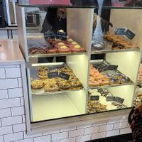 donut case  at Donut Run in Washington
