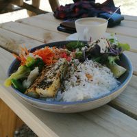 Gado Gado at Moon To Moon in Mount Victoria