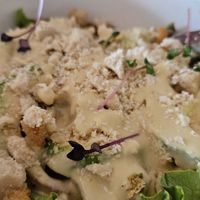 Cleopatra salad with avocado and vegan chicken, croutons at The Conscious Kitchen - Kloof St in Cape Town