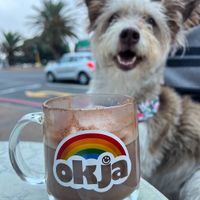 Enjoying our morning coffee and vegan pastries at Okja Cafe 🥐 #Veganuary at Okja - Camps Bay in Cape Town