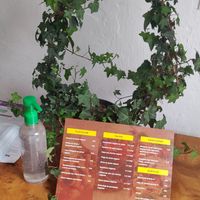 Following healthy practices at El Sabor de Anita - Maybe closed in Guadalajara