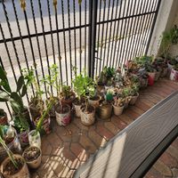  at Vegan Style in Cancun