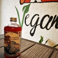  at Vegan Style in Cancun