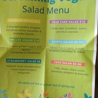 Salad menu at Screaming Vegan in Roanoke