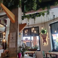 Interior at Mr Kale in Gran Canaria