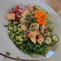  at Mr Kale in Gran Canaria