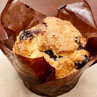 Lemon Blueberry Muffin from the pastry case at Rattlesnake Cafe in Broken Arrow