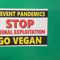 Never a truer word 👍 at What The Pitta in Manchester