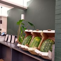 Watermelon art 🍉 at SITE x supernature in East London