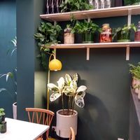 Interior at SITE x supernature in East London