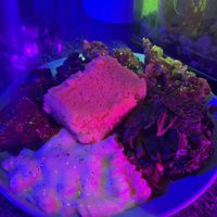 Lion’s Mane “rib” soul food plate. 😋  at Crystals Soul Cafe in Los Angeles