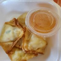 Vegan cheese rangoons at Thai Topaz in San Antonio
