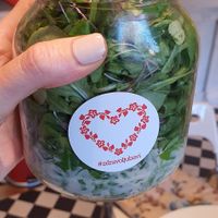 Raw vegan salad at Zdravo Ljubavi in Belgrade