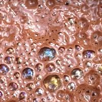  at Zdravo Ljubavi in Belgrade