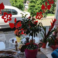  at Zdravo Ljubavi in Belgrade