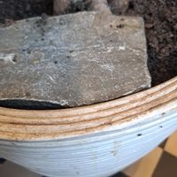  at Zdravo Ljubavi in Belgrade