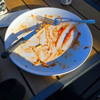 Clean plate at Mama's Egg House in Idyllwild