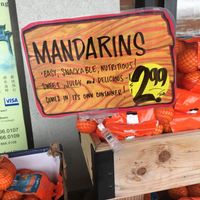Mandarins at Trader Joe's in Springfield