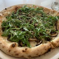 Vegan tartufo  at Pizzeria Boema in Lenox