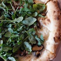 Another view of the tartufo pizza, a white pizza with garlic and arugula. Perfect size for 2 to split at Pizzeria Boema in Lenox