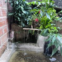   at Quintal Vegan in Belo Horizonte