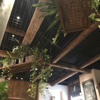 Live plants make a magical atmosphere   at Honest Greens - Born in Barcelona