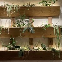   at Honest Greens - Born in Barcelona