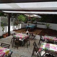 Tea garden at Empório do Chá in Lisbon