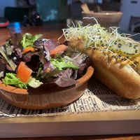 Perrito Daio   at Daio in Gijon