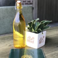   at Punyah Cafe in Rishikesh