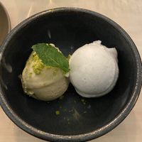   at VHY! in Stuttgart