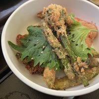   at VHY! in Stuttgart