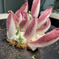   at VHY! in Stuttgart