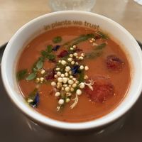   at VHY! in Stuttgart