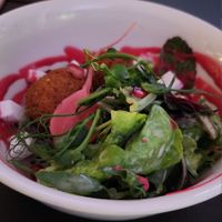 Vorspeise 2: Bällchen auf Alblinsensalat mit Roter Beete und Feta, dazu frischer Salat at VHY! in Stuttgart