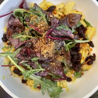   at VHY! in Stuttgart