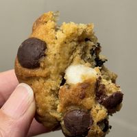 This is the very best vegan cookie I have tried in the 14 years I’ve been a vegan.  at Level V Bakery in Vancouver