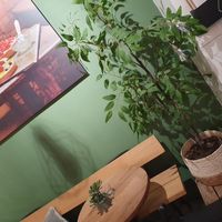 Interior at MultiVlaai in Haarlem