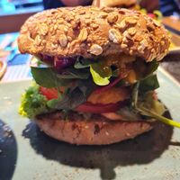 Der Held at Peter Pane in Dresden