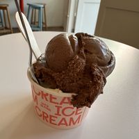 Coconut chocolate and passion fruit coconut   at Duck Island Ice Cream in Wellington
